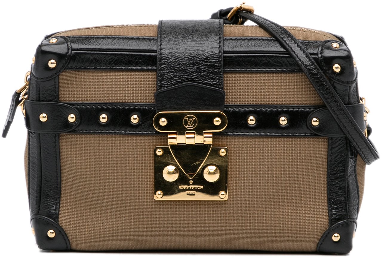 Louis Vuitton Petite Malle Soft MM Bruin