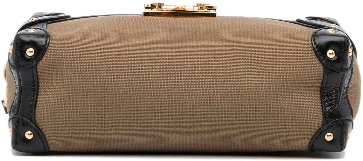 Louis Vuitton Petite Malle Soft MM Bruin