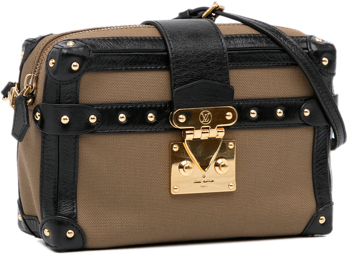 Louis Vuitton Petite Malle Soft MM Bruin