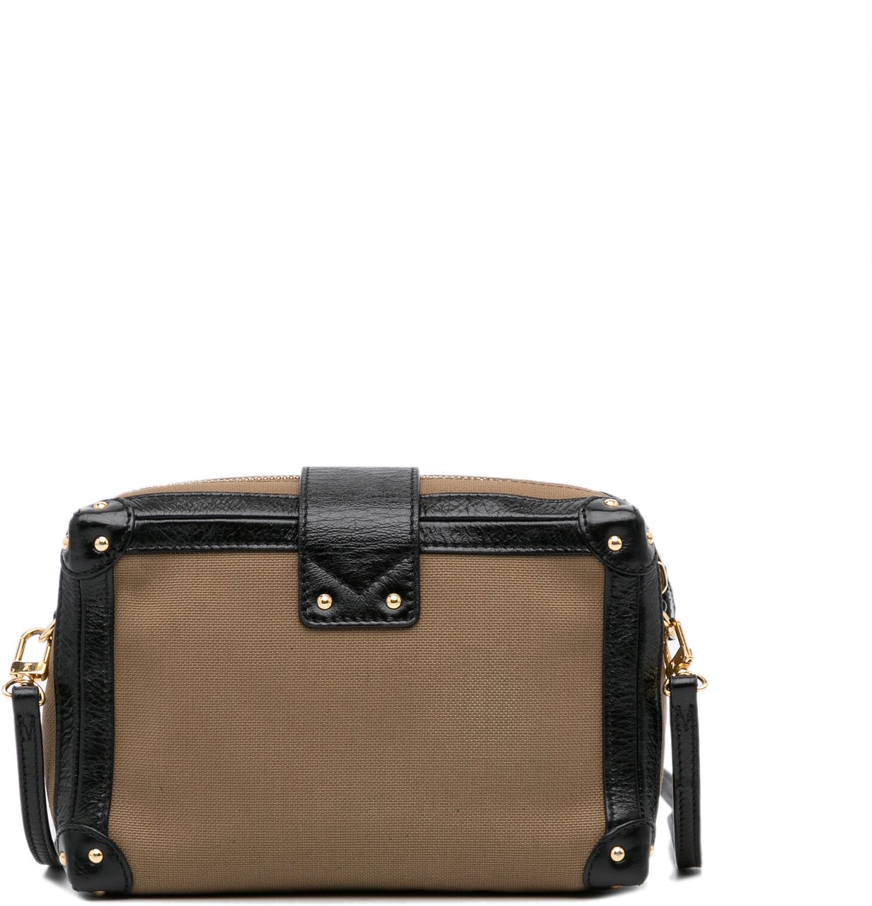 Louis Vuitton Petite Malle Soft MM Bruin