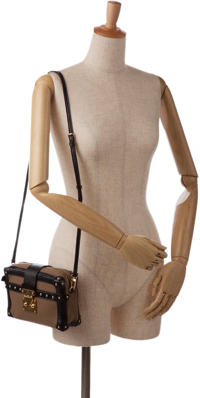 Louis Vuitton Petite Malle Soft MM Bruin