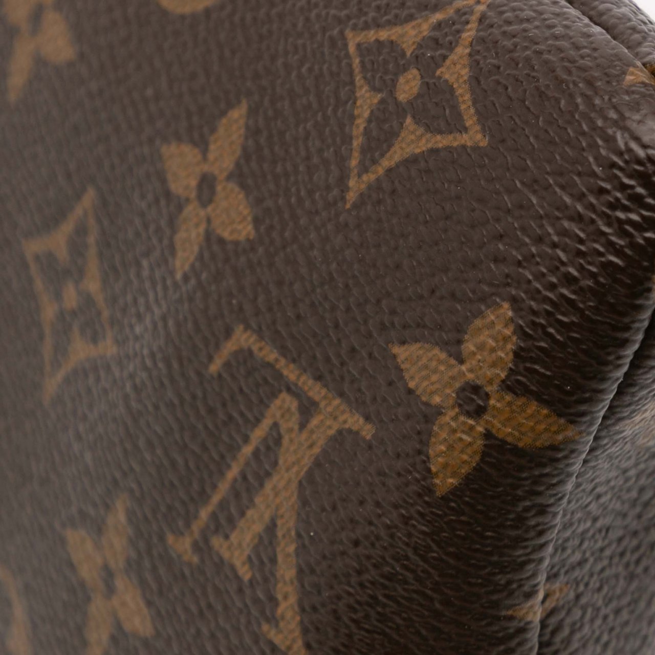 Louis Vuitton Monogram Daily Pouch Bruin