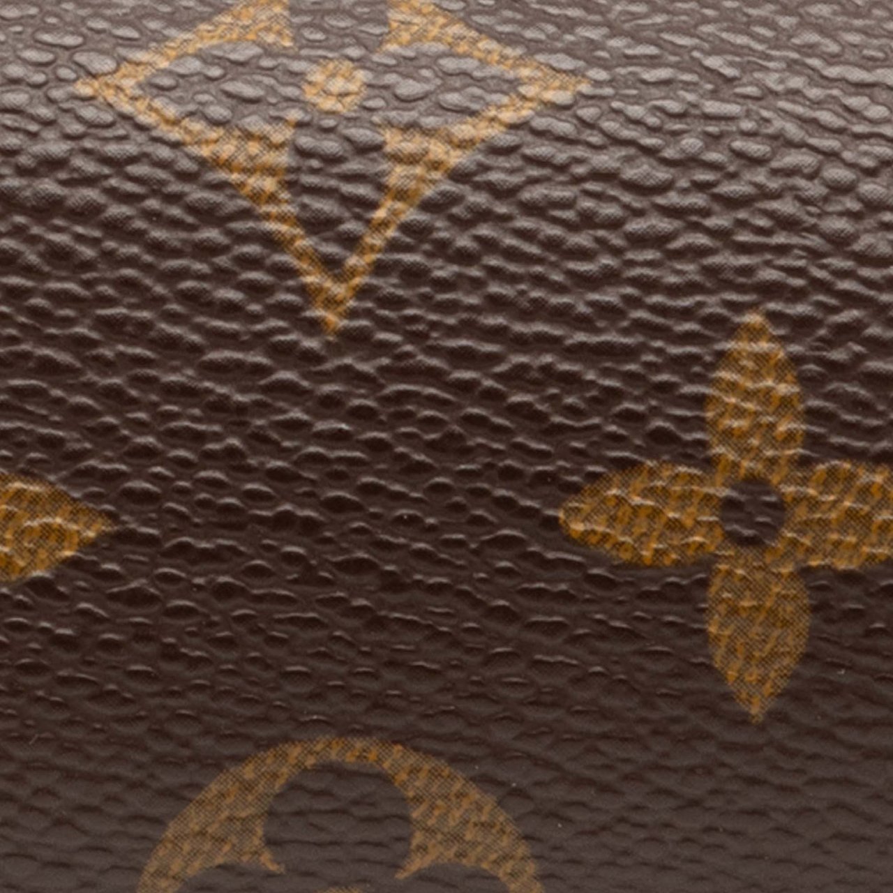 Louis Vuitton Monogram Papillon Pochette Bruin