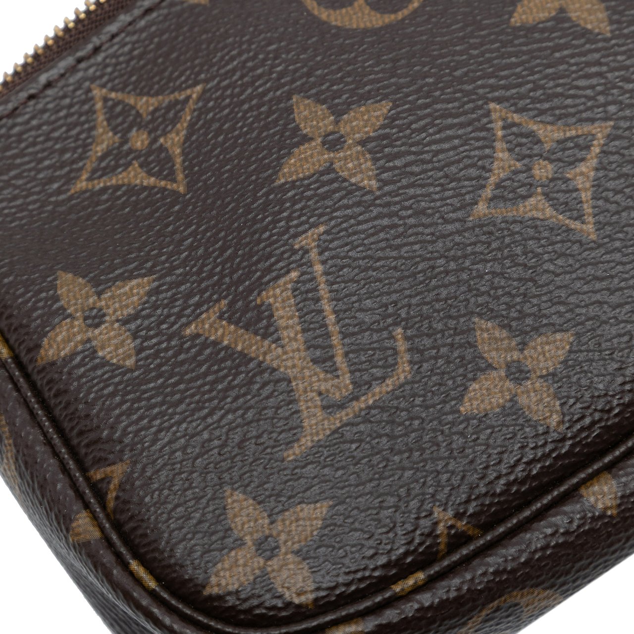 Louis Vuitton Monogram Mini Pochette Accessoires Bruin
