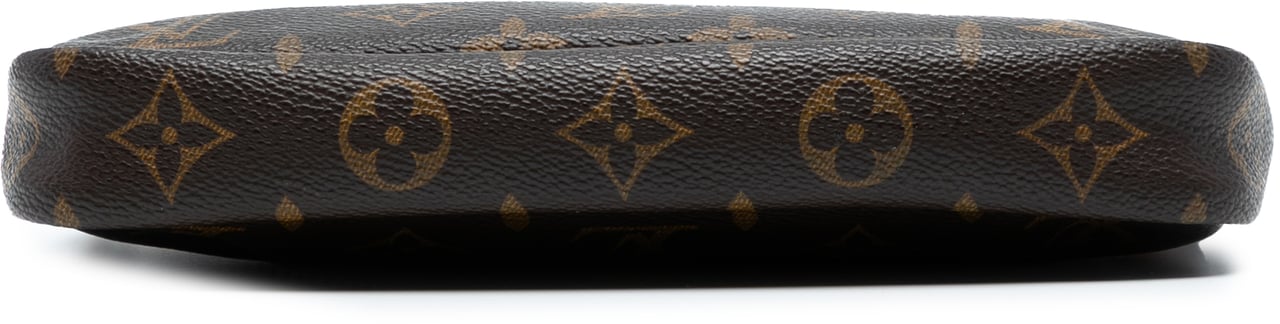Louis Vuitton Monogram Pochette Accessoires Bruin