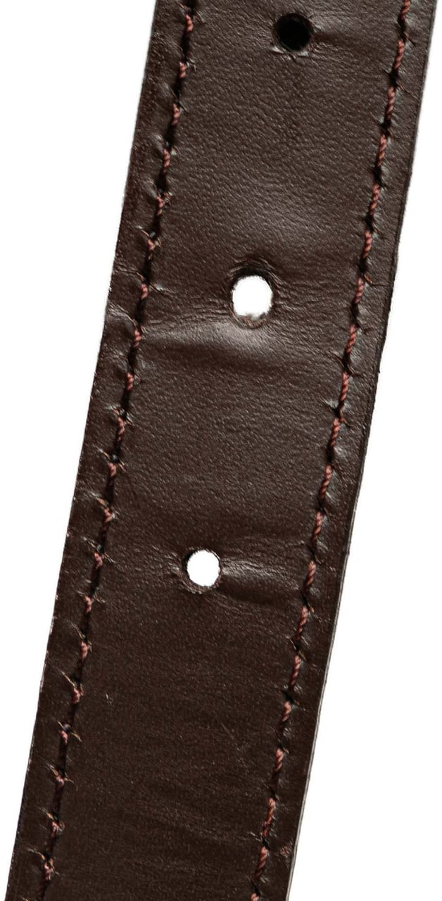 Louis Vuitton Damier Ebene Chelsea Bruin