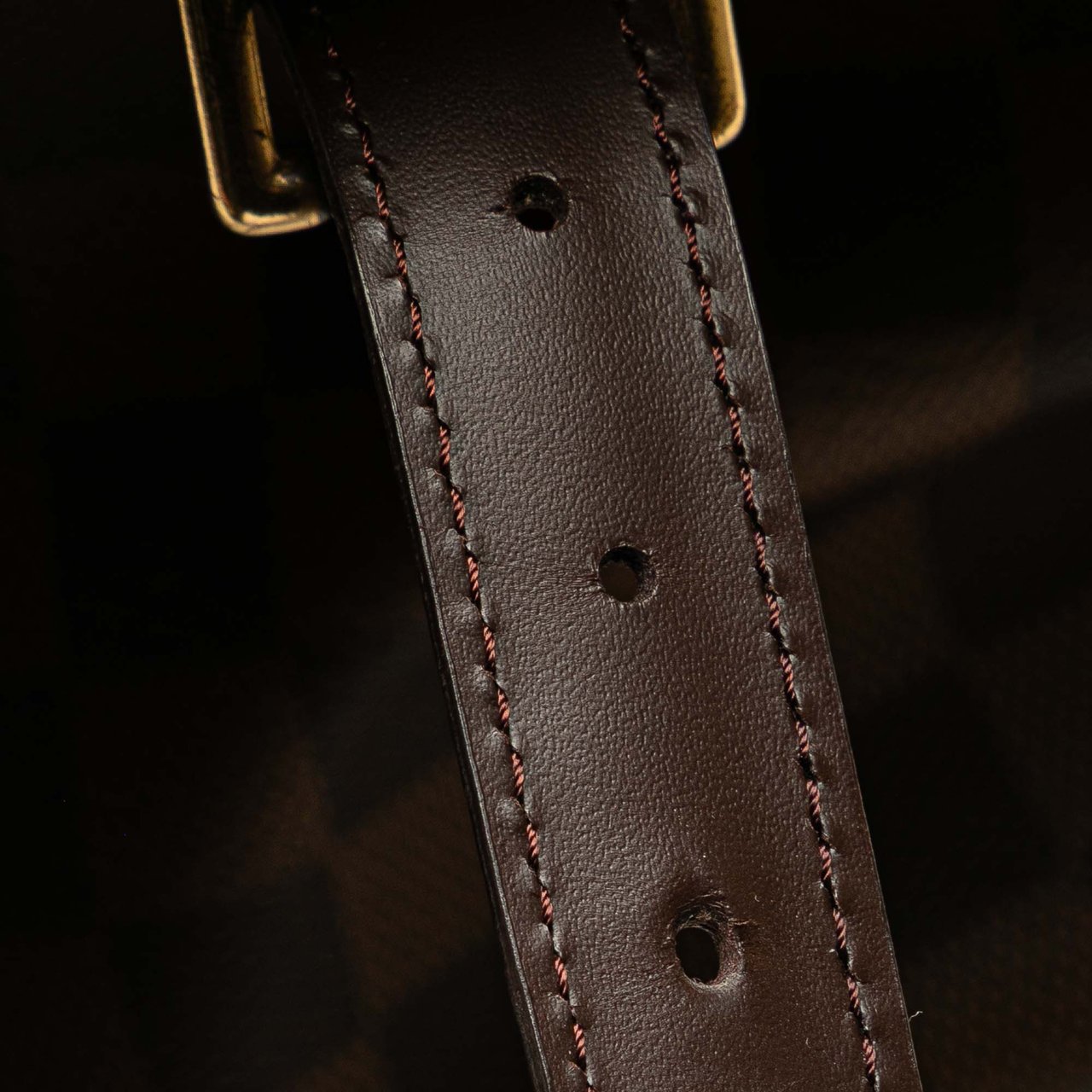 Louis Vuitton Damier Ebene Chelsea Bruin