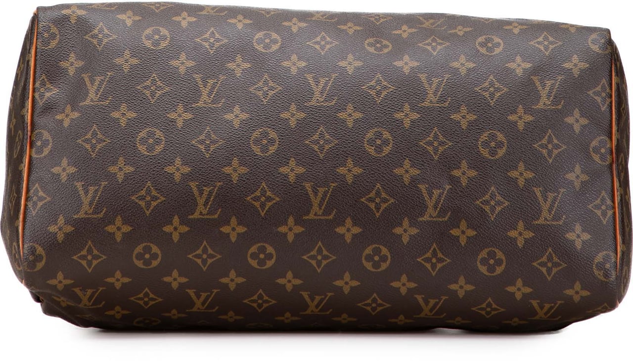 Louis Vuitton Monogram Speedy 40 Bruin