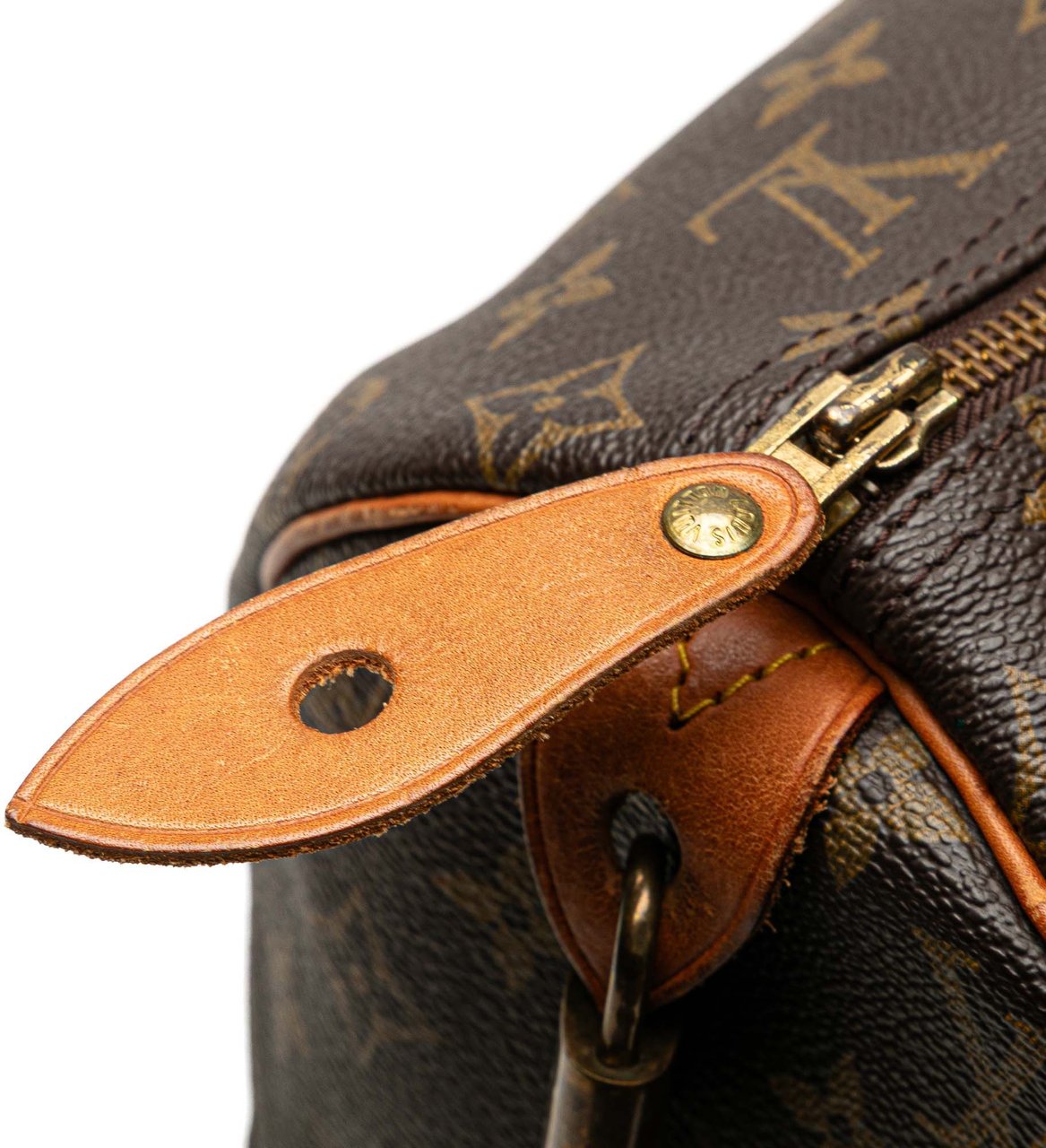 Louis Vuitton Monogram Speedy 40 Bruin