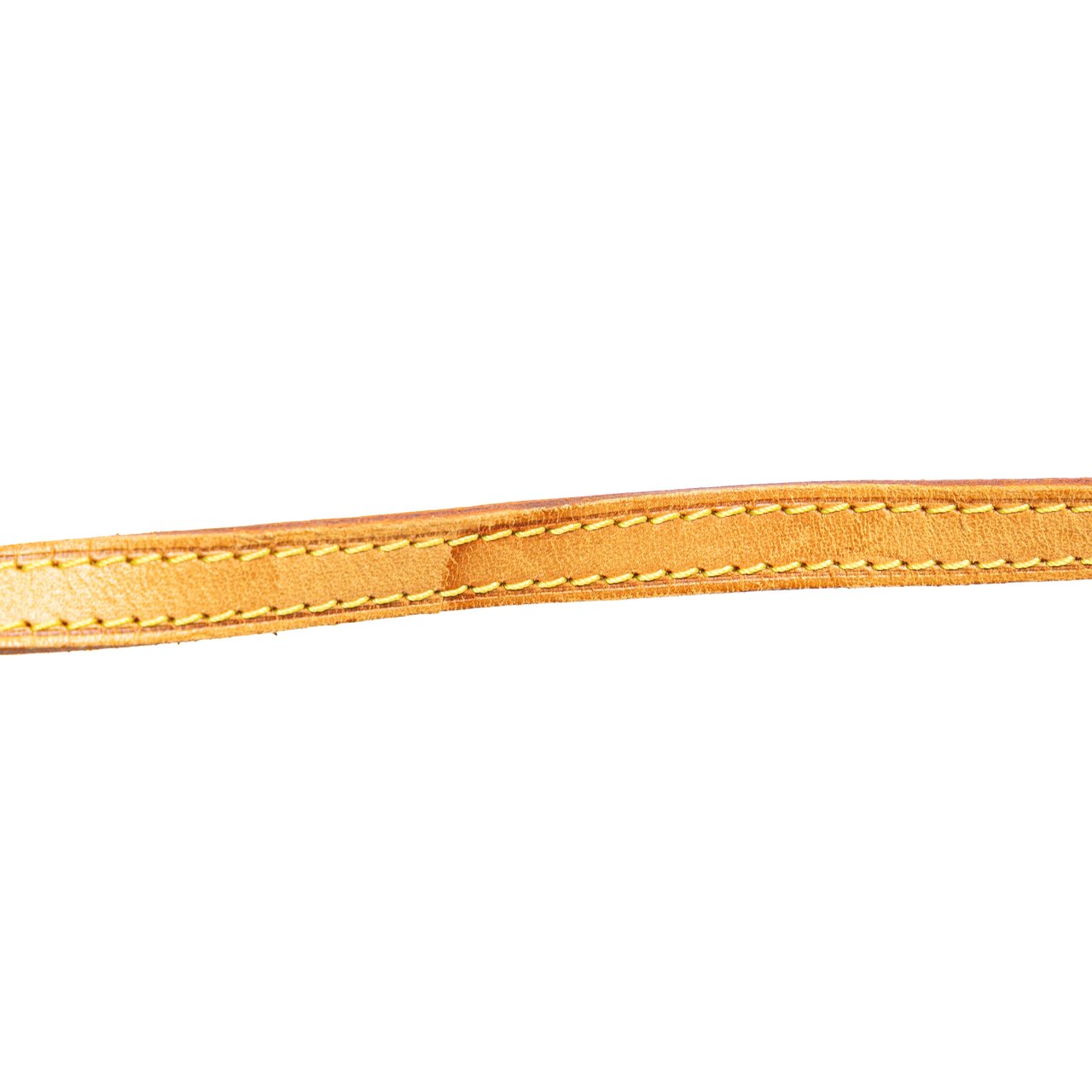 Louis Vuitton Monogram Pochette Twin PM Bruin