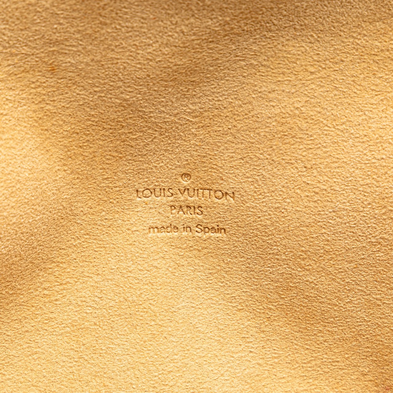 Louis Vuitton Monogram Pochette Twin PM Bruin
