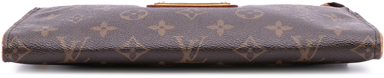 Louis Vuitton Monogram Eva Bruin