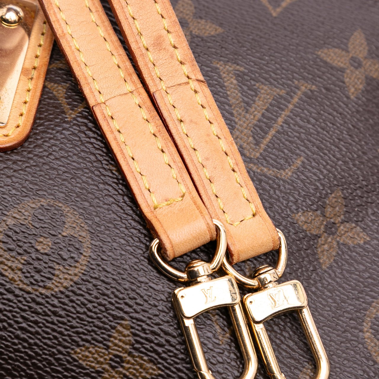 Louis Vuitton Monogram Eva Bruin