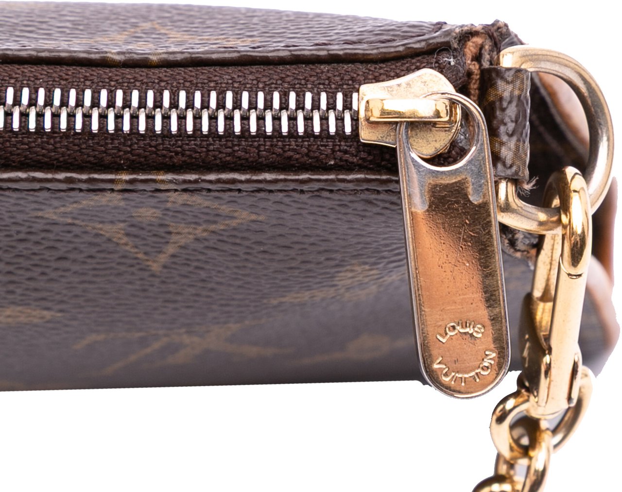Louis Vuitton Monogram Eva Bruin
