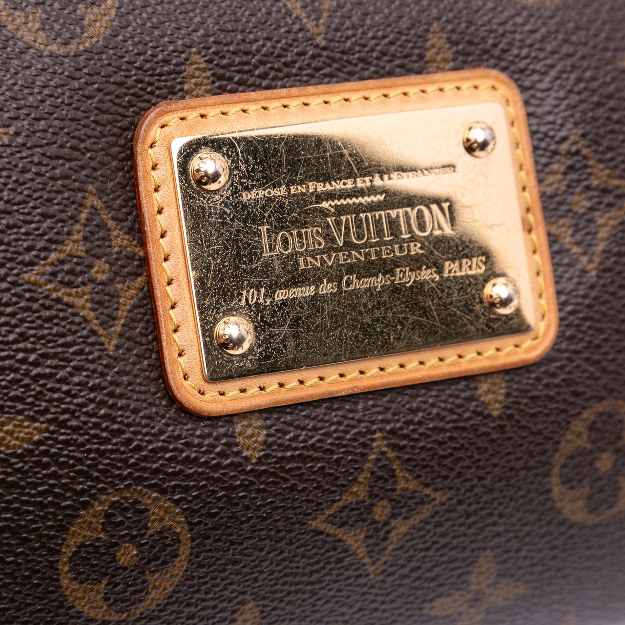 Louis Vuitton Monogram Eva Bruin