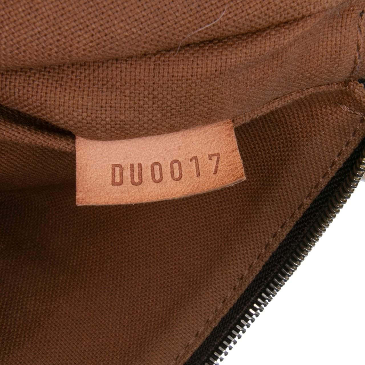 Louis Vuitton Monogram Eva Bruin
