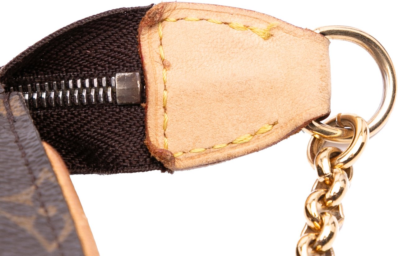 Louis Vuitton Monogram Eva Bruin