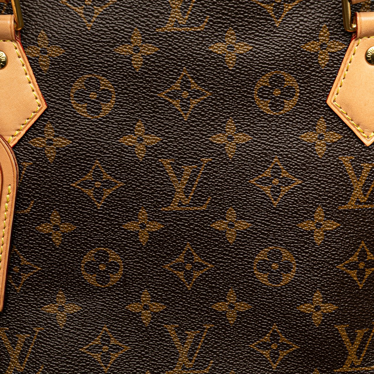 Louis Vuitton Monogram All-In MM Bruin