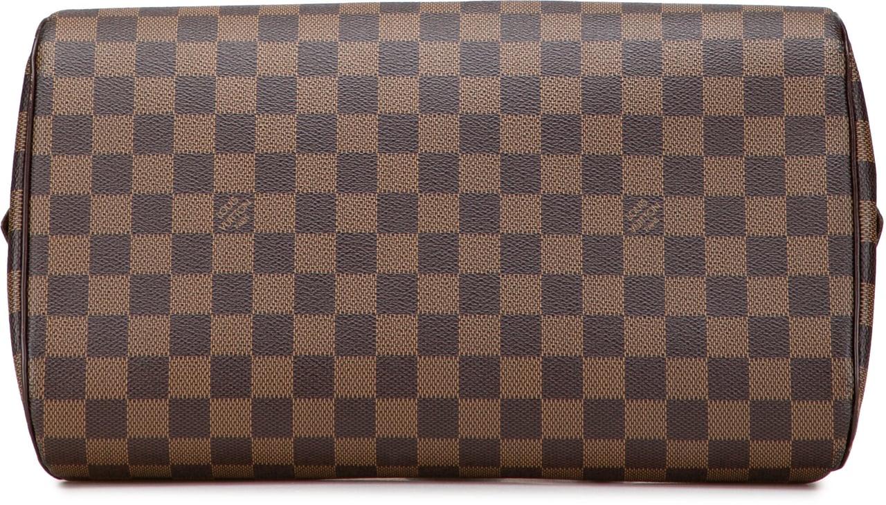 Louis Vuitton Damier Ebene Ribera MM Bruin
