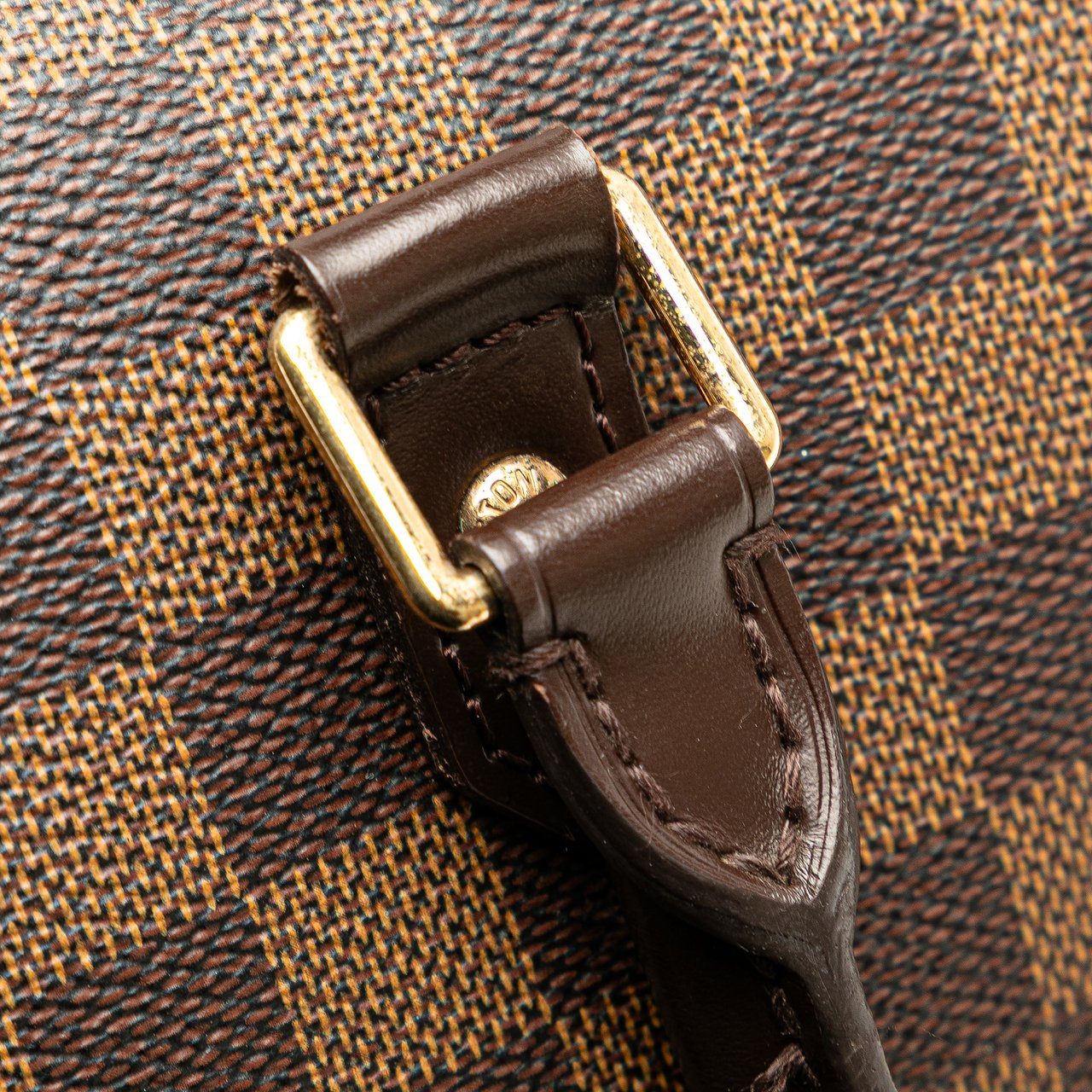 Louis Vuitton Damier Ebene Ribera MM Bruin