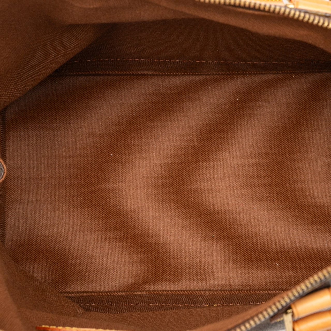 Louis Vuitton Monogram Alma PM Bruin