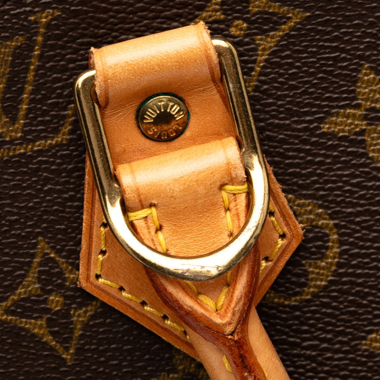 Louis Vuitton Monogram Alma PM Bruin