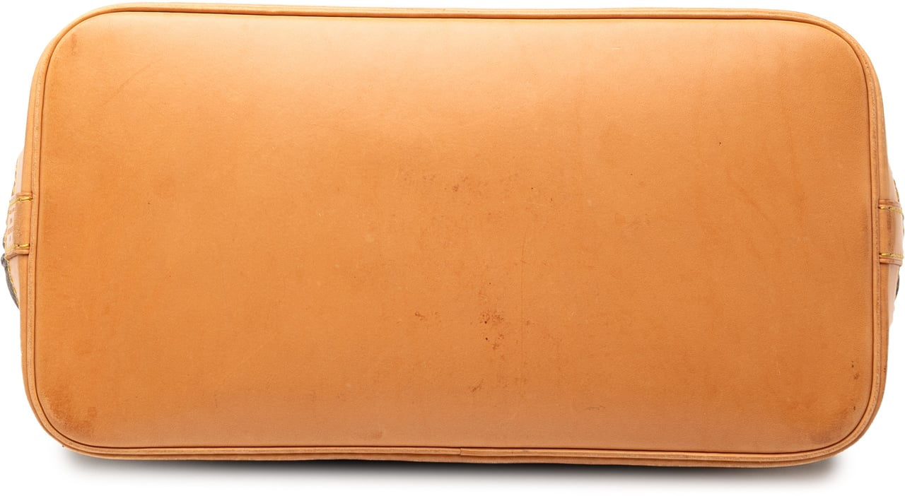 Louis Vuitton Monogram Alma PM Bruin