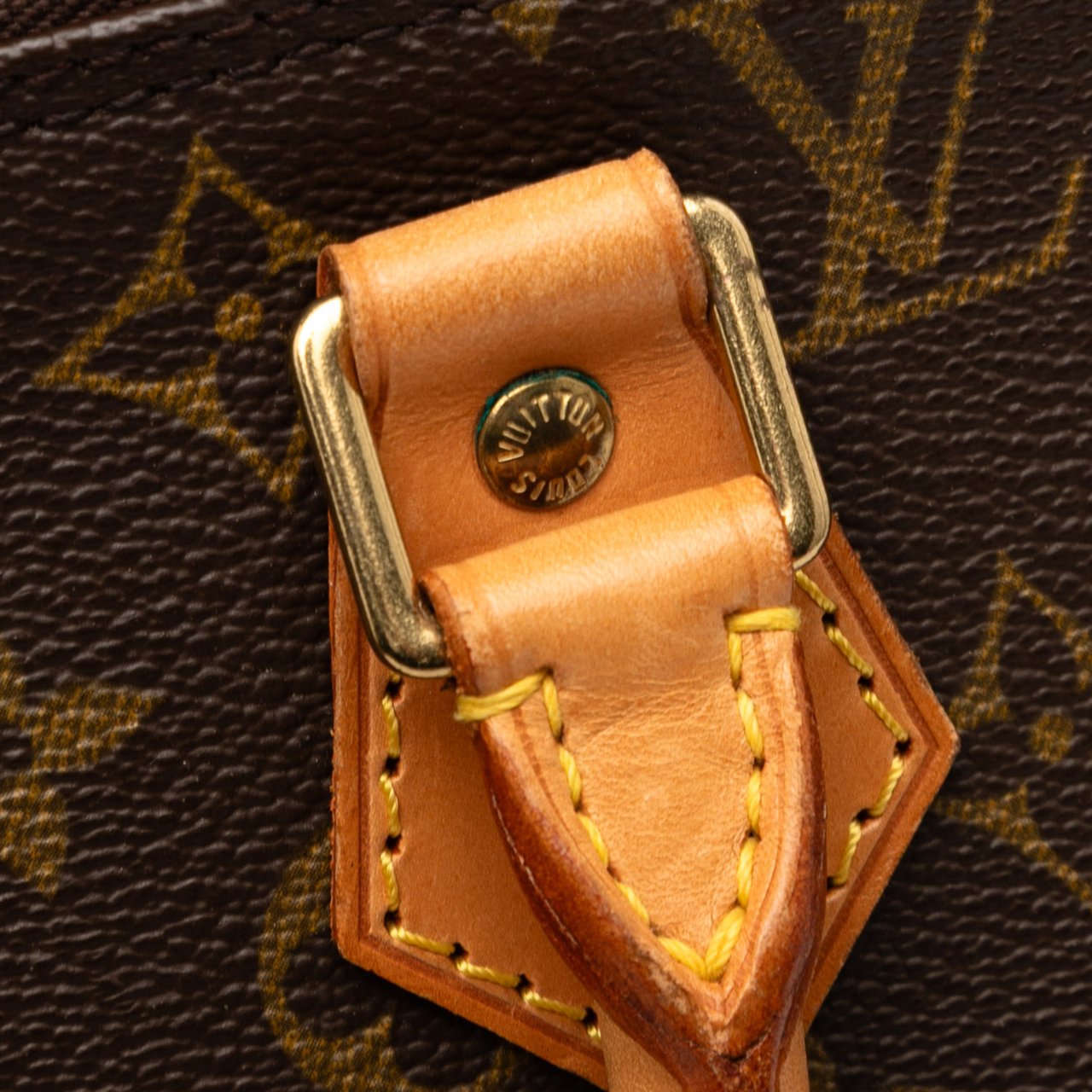 Louis Vuitton Monogram Alma PM Bruin