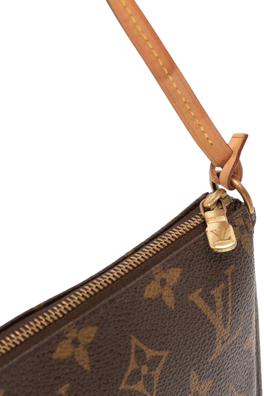 Louis Vuitton Monogram Pochette Accessoires Bruin