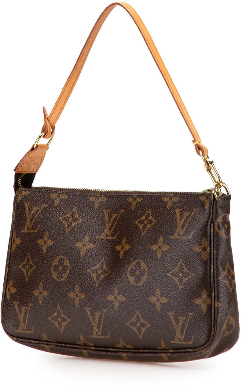 Louis Vuitton Monogram Pochette Accessoires Bruin
