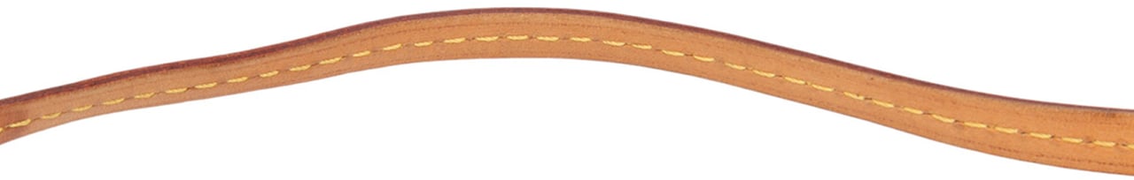 Louis Vuitton Monogram Pochette Accessoires Bruin