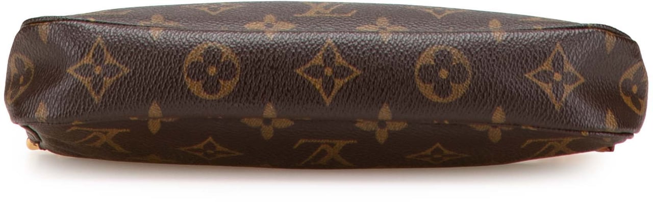 Louis Vuitton Monogram Pochette Accessoires Bruin