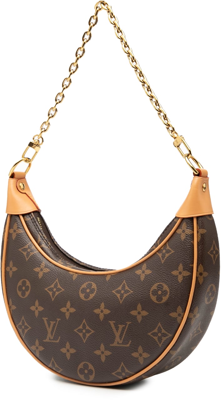 Louis Vuitton Monogram Loop Bruin