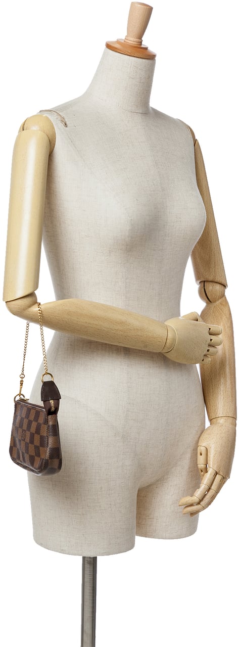 Louis Vuitton Damier Ebene Mini Pochette Accessoires Bruin
