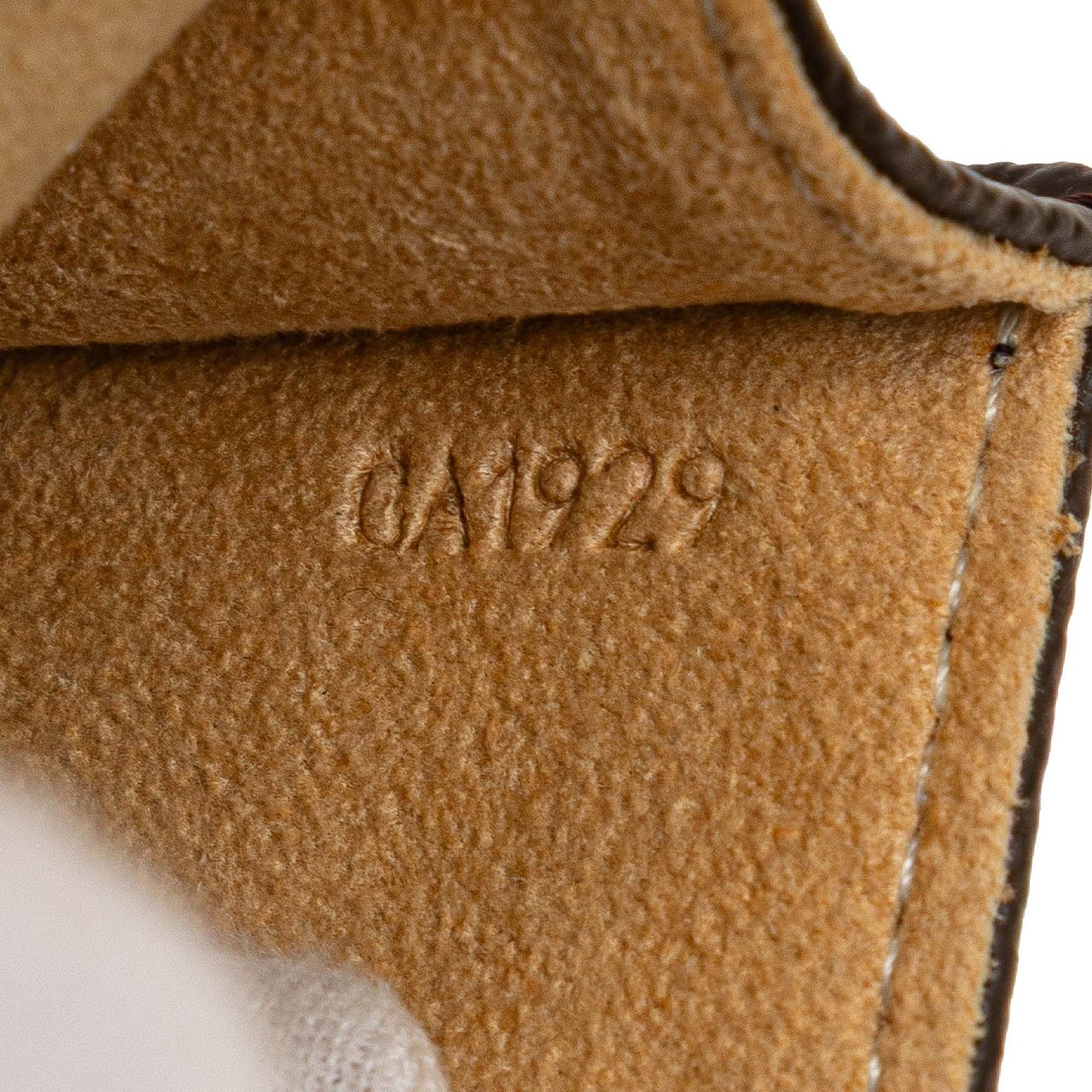 Louis Vuitton Monogram Pochette Twin PM Bruin