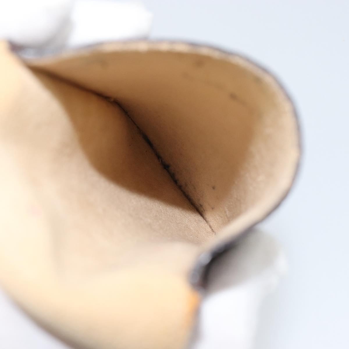 Louis Vuitton Louis Vuitton Etui à lunette Canvas Bruin