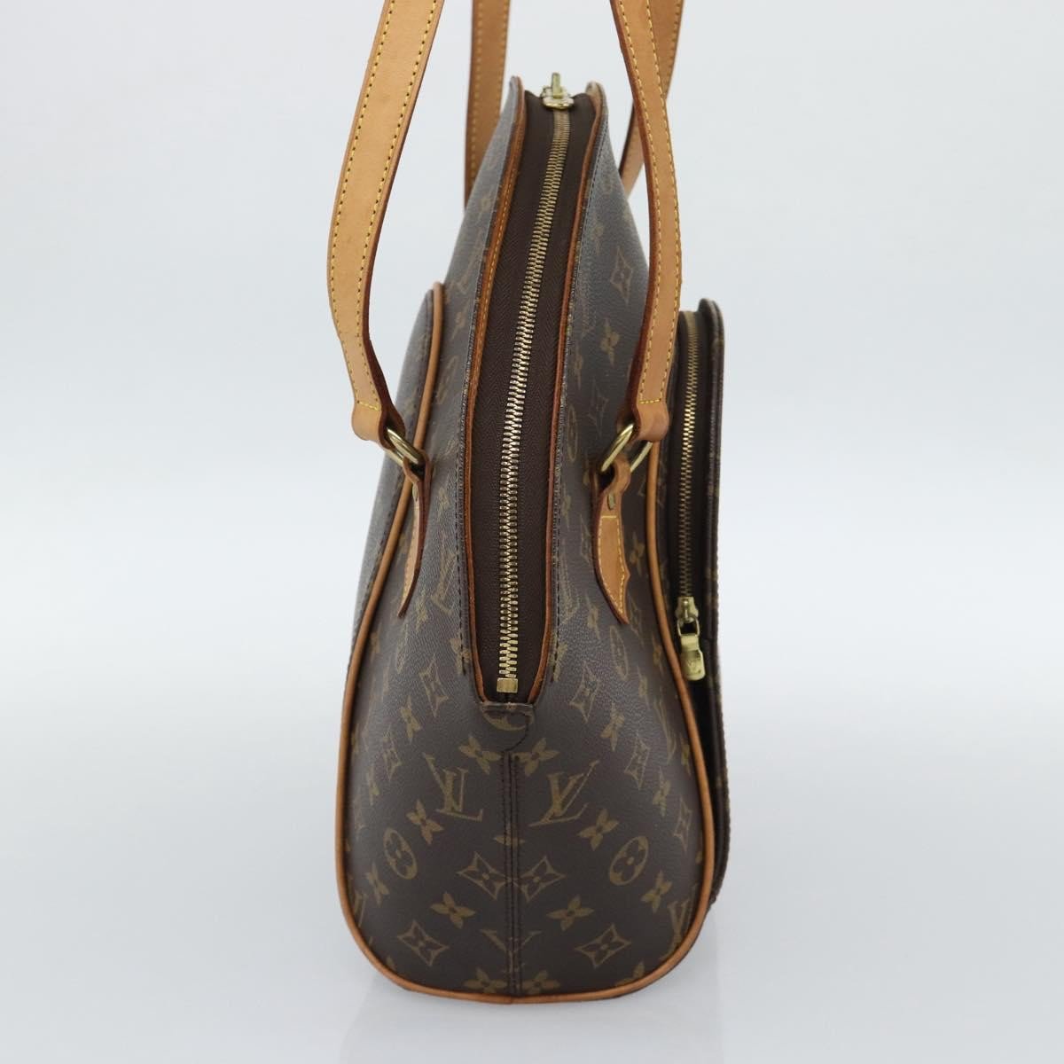 Louis Vuitton Ellipse NM Monogram Canvas PM Bruin