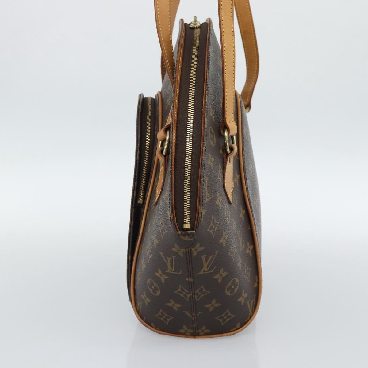 Louis Vuitton Ellipse NM Monogram Canvas PM Bruin