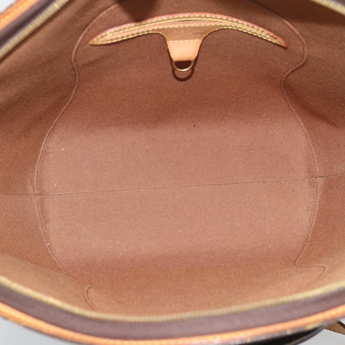 Louis Vuitton Ellipse NM Monogram Canvas PM Bruin