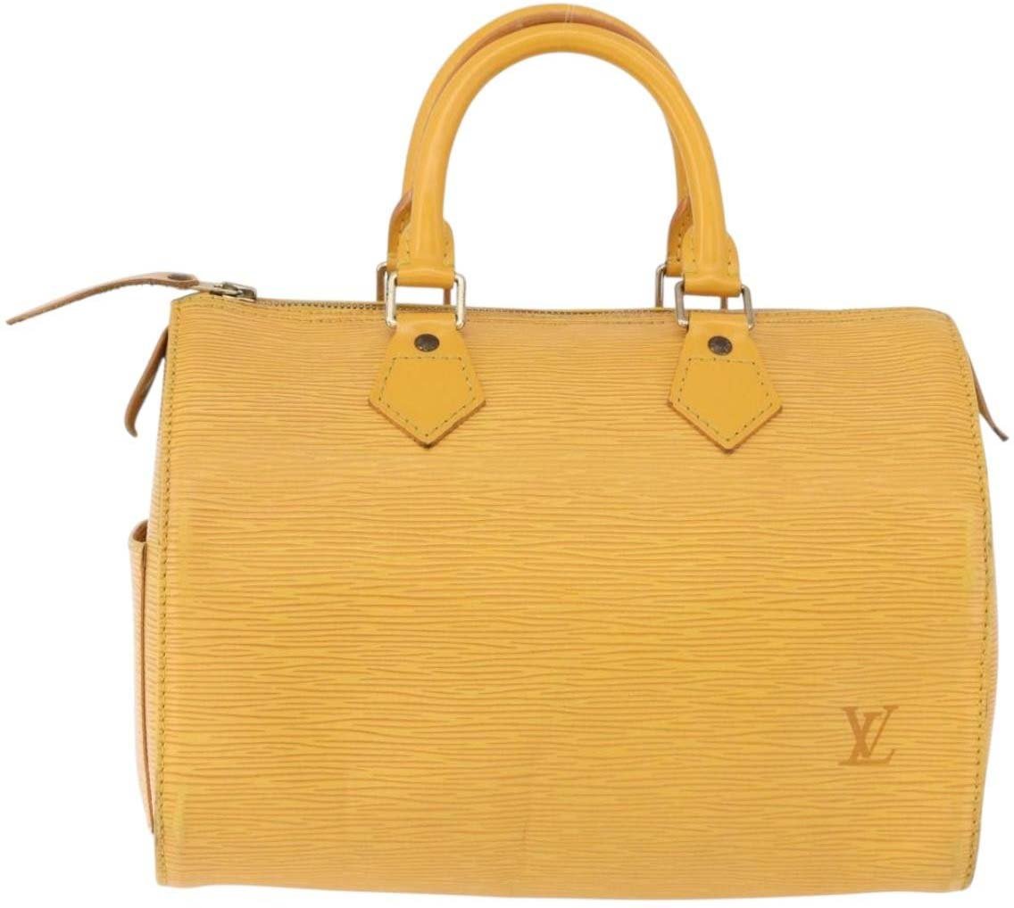 Louis Vuitton Speedy Epi 25 Rood
