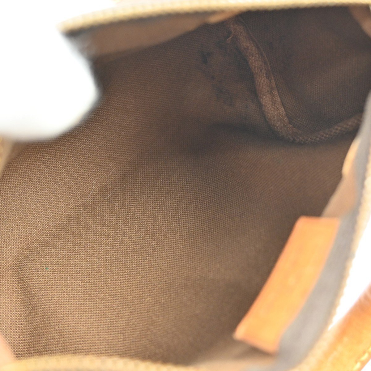 Louis Vuitton Speedy Monogram Mini Bruin