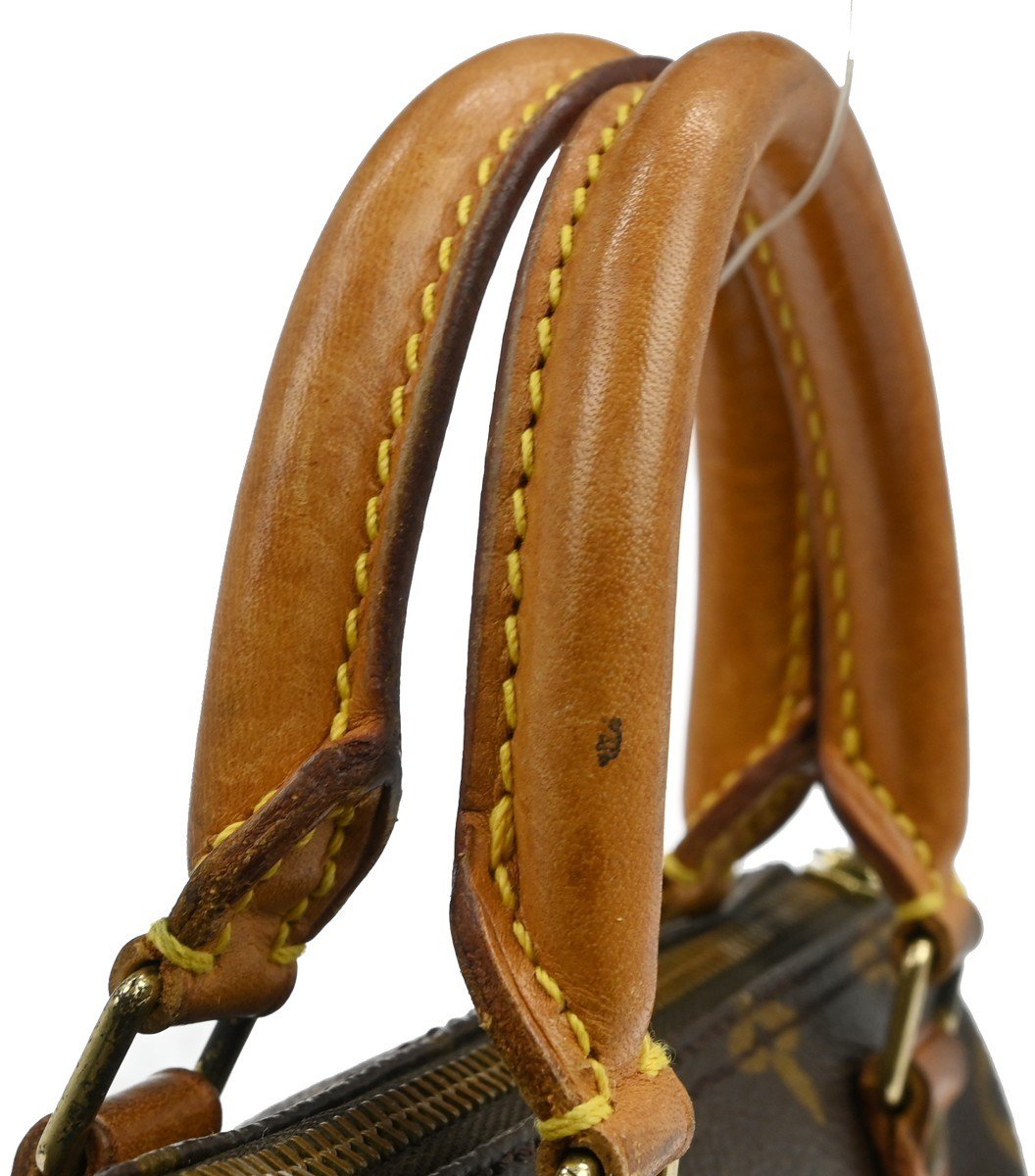 Louis Vuitton Speedy Monogram Mini Bruin