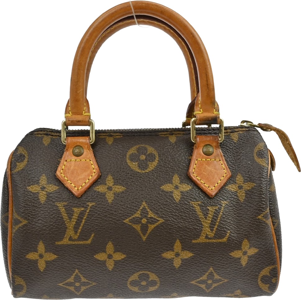 Louis Vuitton Speedy Monogram Mini Bruin