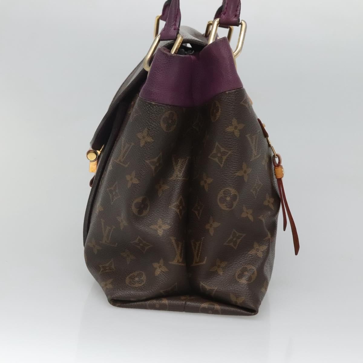 Louis Vuitton Louis Vuitton Olympe Handbag Monogram Canvas Bruin