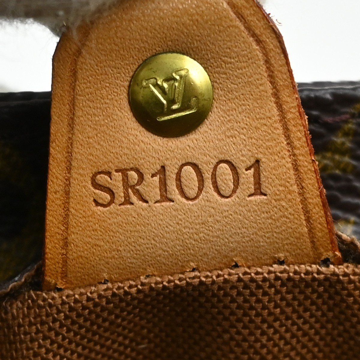 Louis Vuitton Vavin Monogram PM Bruin