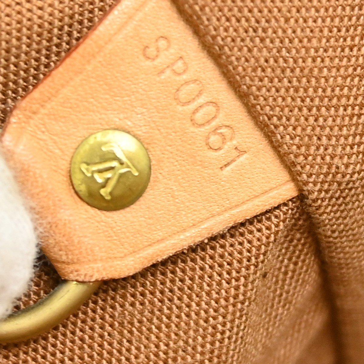 Louis Vuitton Louis Vuitton Montsouris Backpack Monogram Canvas MM Bruin