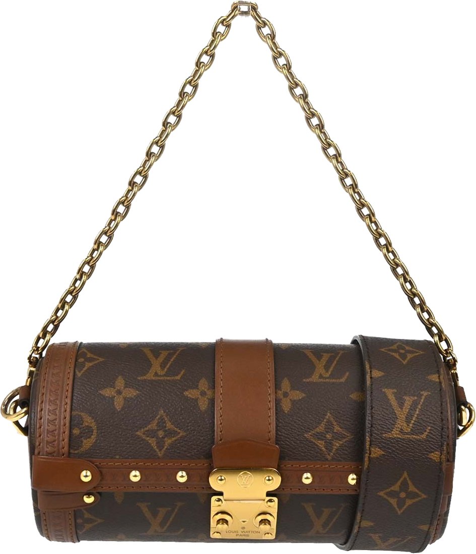 Louis Vuitton Papillon Trunk Monogram Canvas Bruin
