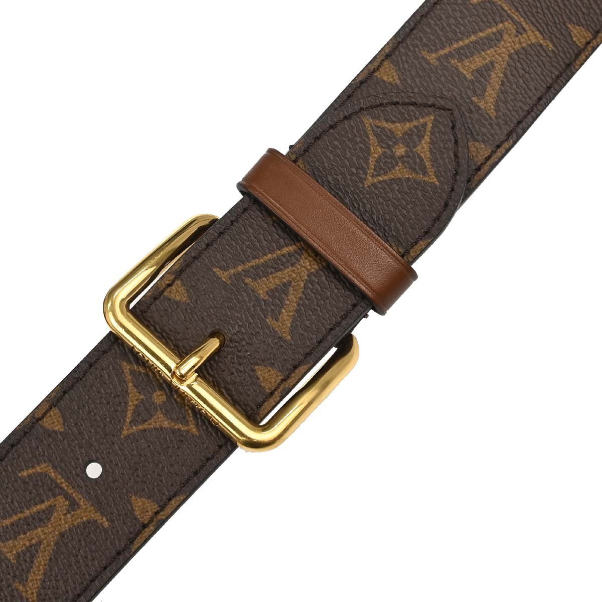 Louis Vuitton Papillon Trunk Monogram Canvas Bruin
