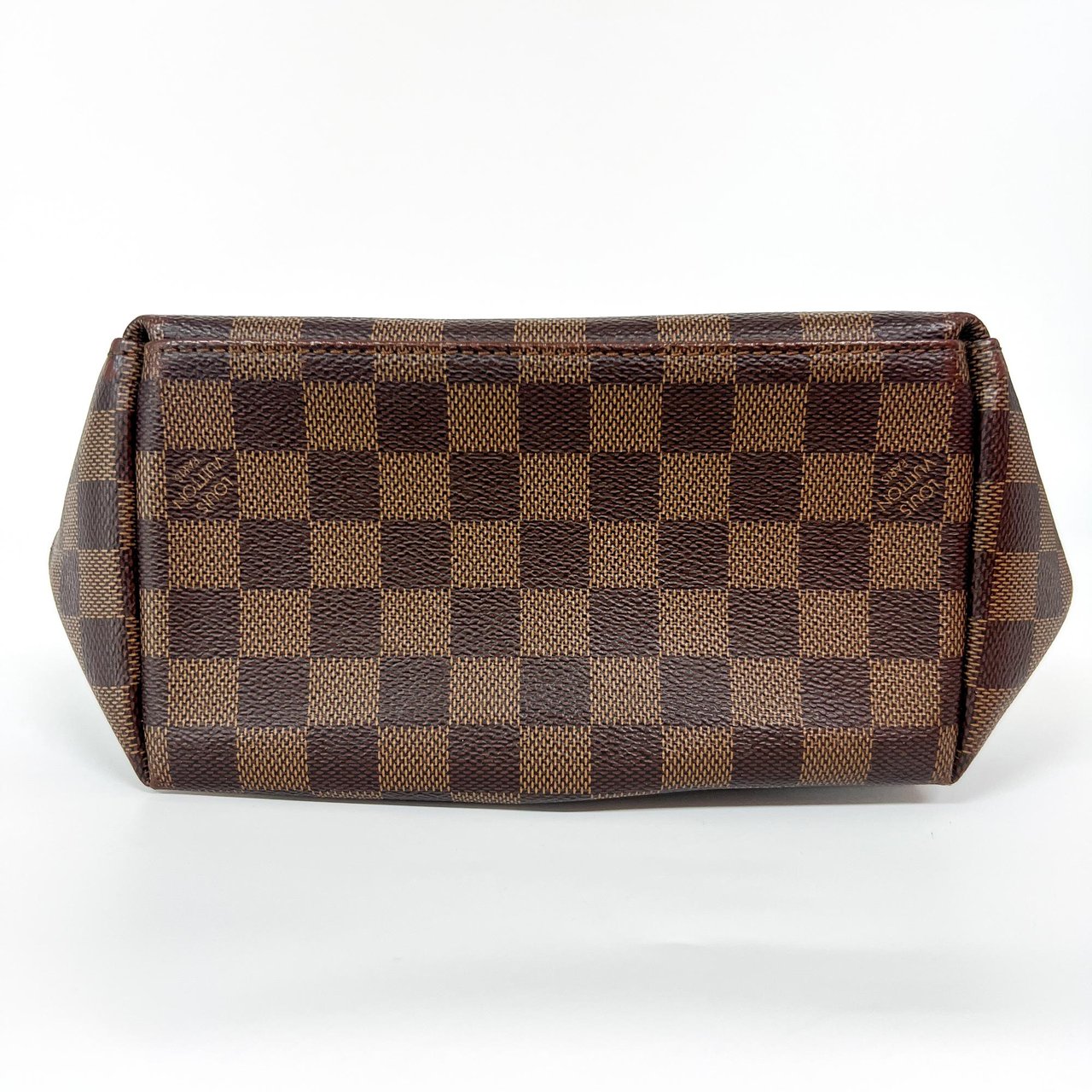 Louis Vuitton Louis Vuitton Clapton Backpack Damier and Leather Bruin