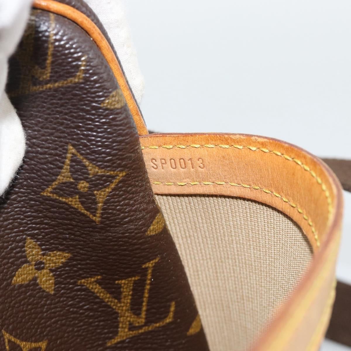 Louis Vuitton Reporter Monogram PM Bruin